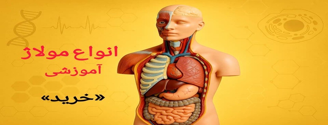 انواع مولاژ